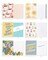 American Greetings Deluxe All Occasion Cards with Envelopes - Birthday, Thanks, Congrats and More (40-Count)